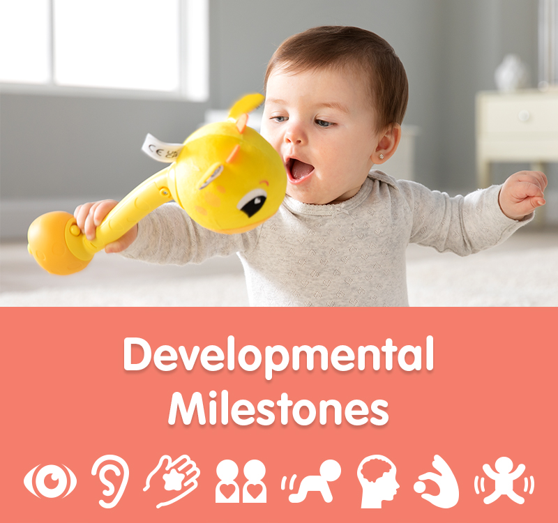 Lamaze Developmental Milestones